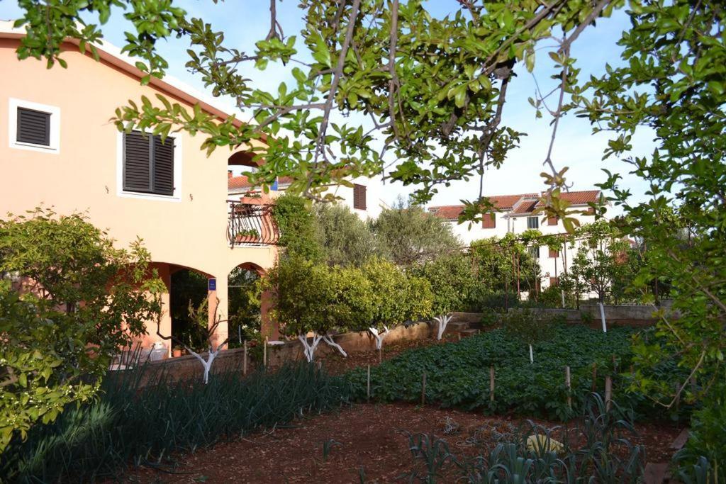 Apartments Ivanka Trogir Eksteriør billede